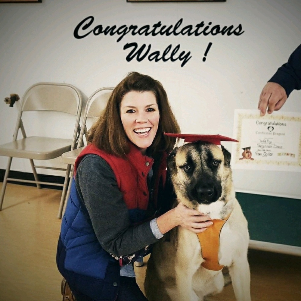 Meet your Posher, Shawna